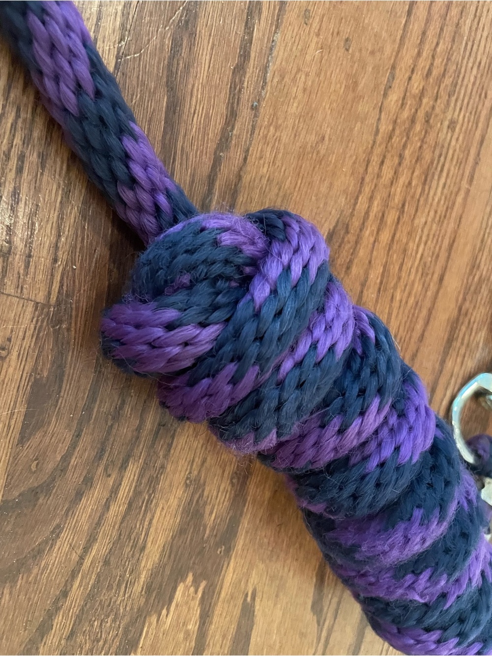 Purple Lead Rope - Picture 2 of 4